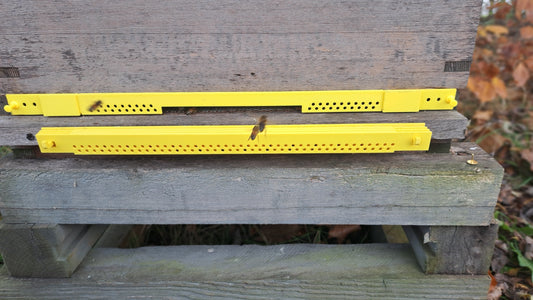 Springing into beekeeping