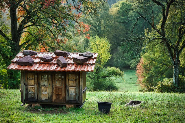 Wooden beehive surrounded by autumn forest colours