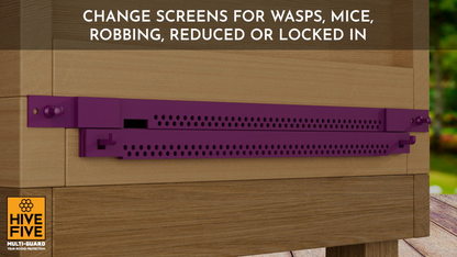 Hive-Five Multi-Guard purple entrance screen fitted to a National hive - swap for wasps, mice, robbing, reduced or locked in modes