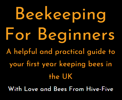 Beekeeping For Beginners