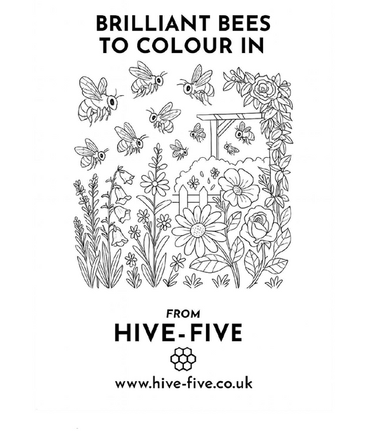 Free! Colouring Book