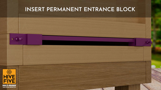 Insert the permanent entrance block into the Hive-Five Multi-Guard