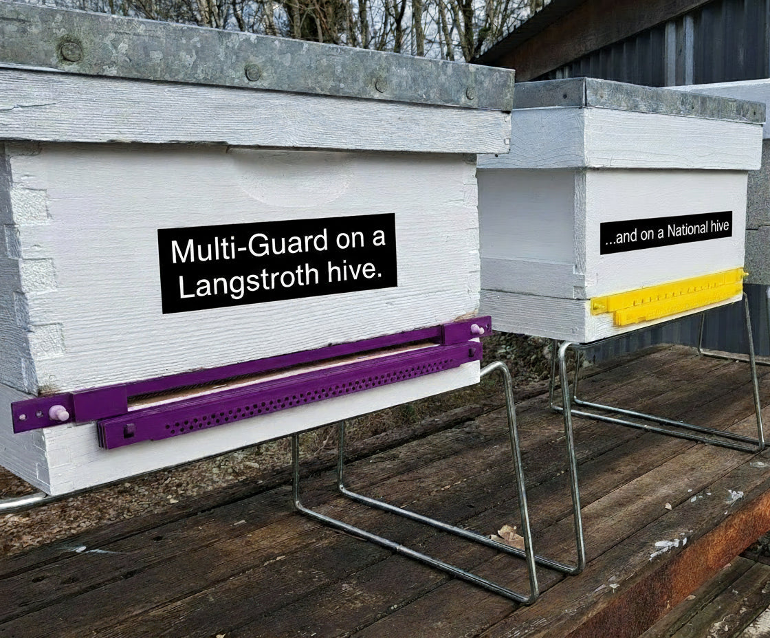Hive-Five Multi-Giard on a Langstroth and a National Hive as a comparison
