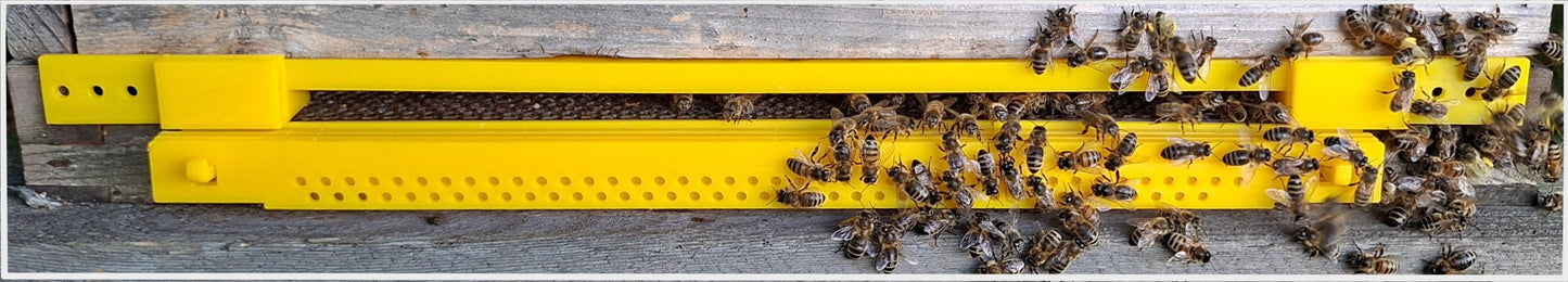 Hive-Five Multi-Guard